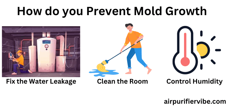 How do you prevent mold growth