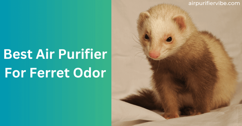 best air purifier for ferret odor
