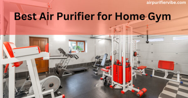 Best Air Purifier for Home Gym