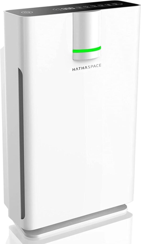 HATHASPACE HSP002 Smart Air Purifier