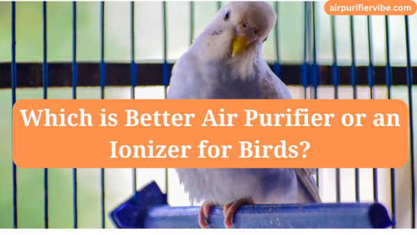 are ionizers safe for birds