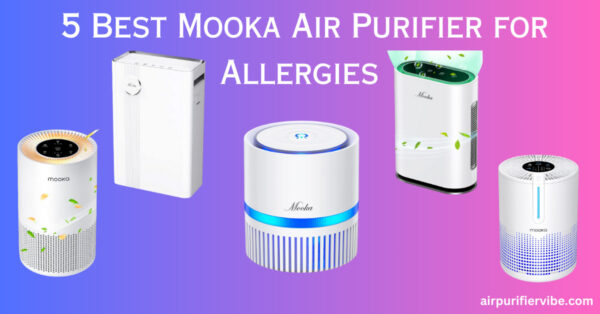 Best Mooka Air Purifier for Allergies