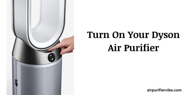 Turn On the Dyson Air Purifier